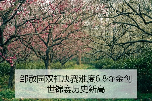 邹敬园双杠决赛难度6.8夺金创世锦赛历史新高
